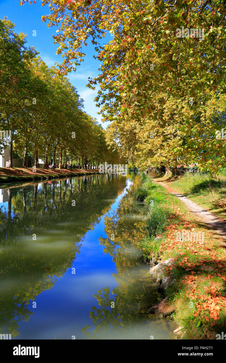 Canal du Midi, Carcassonne, Aude, Languedoc Roussillon, Frankreich. Stockfoto
