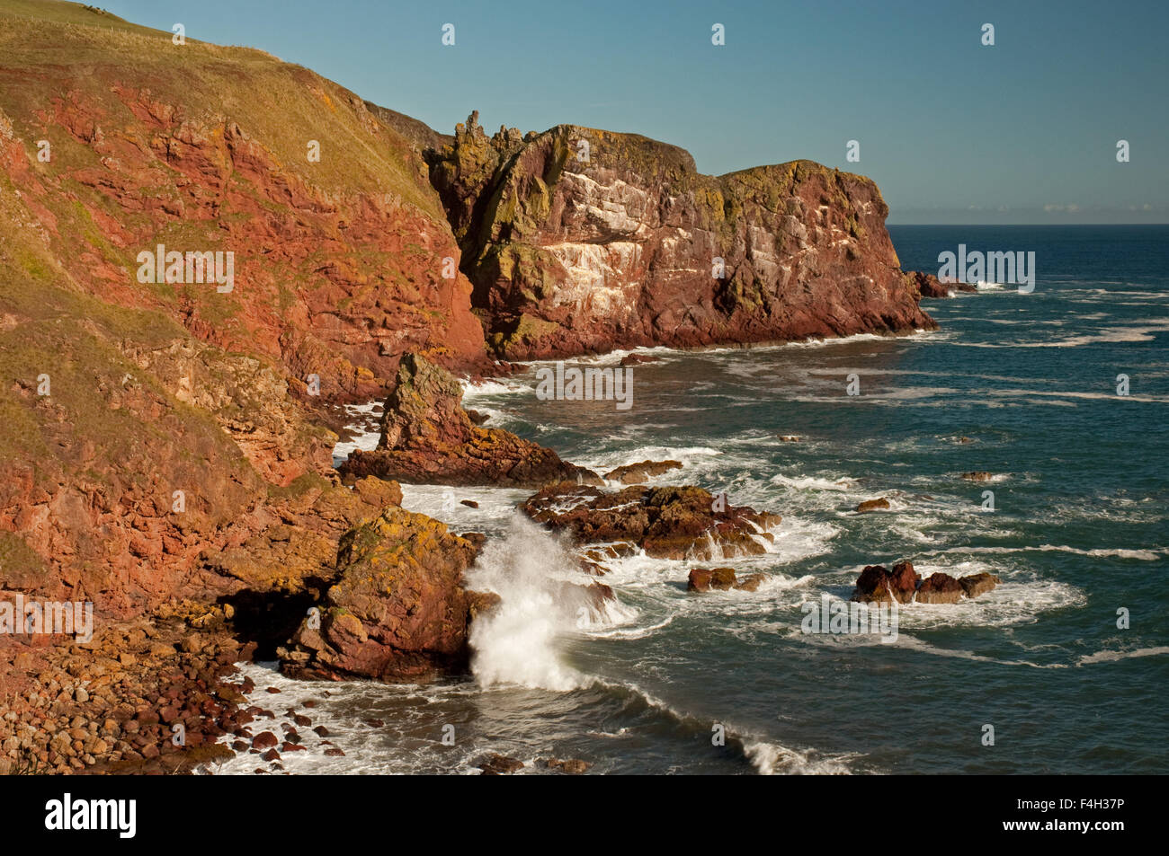St. Abbs Head Stockfoto