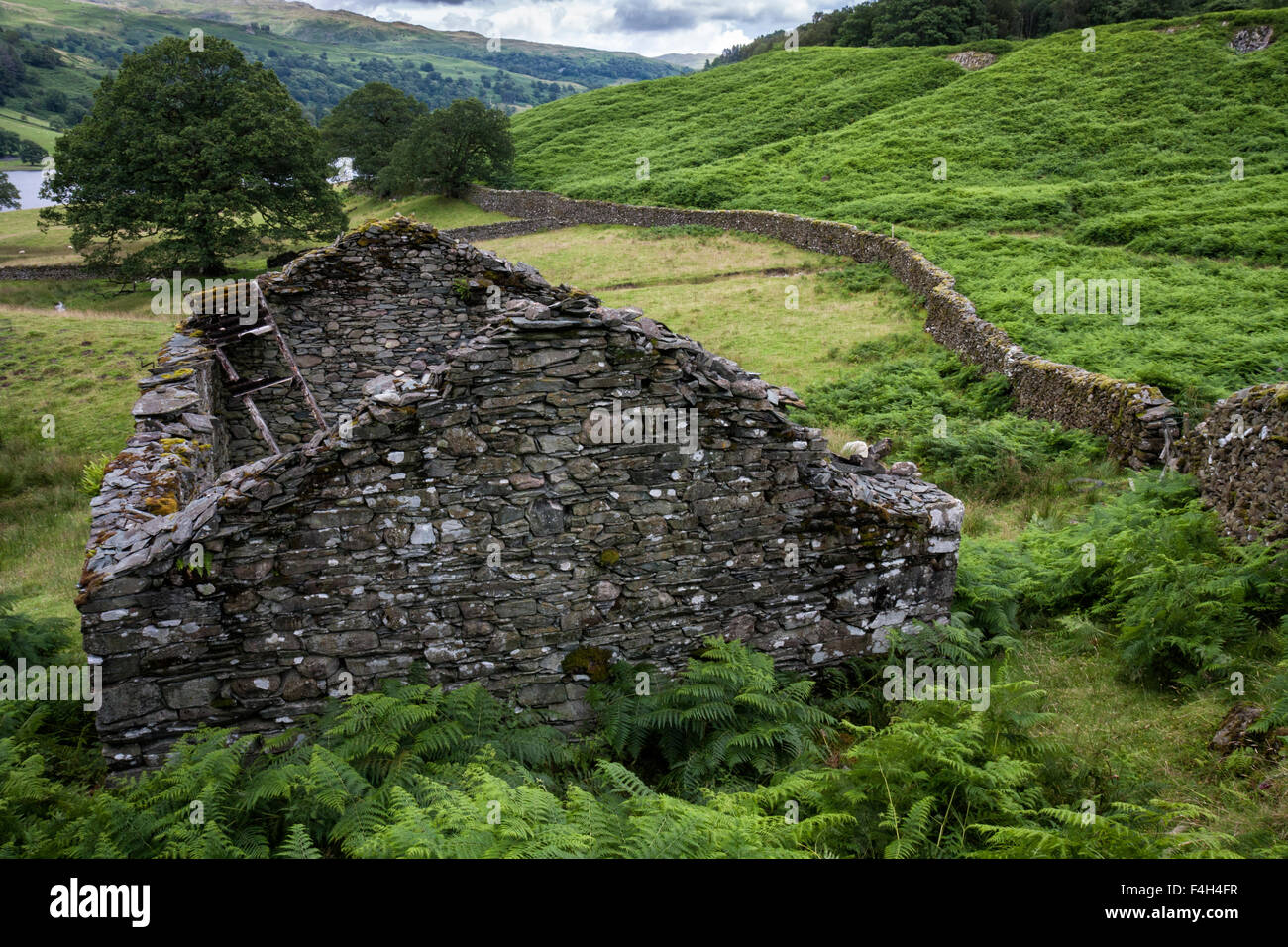 Verfallene Scheune auf dem Weg zwischen Rydal Wasser und Grasmere im Nationalpark Lake District, Cumbria, England, Großbritannien Stockfoto