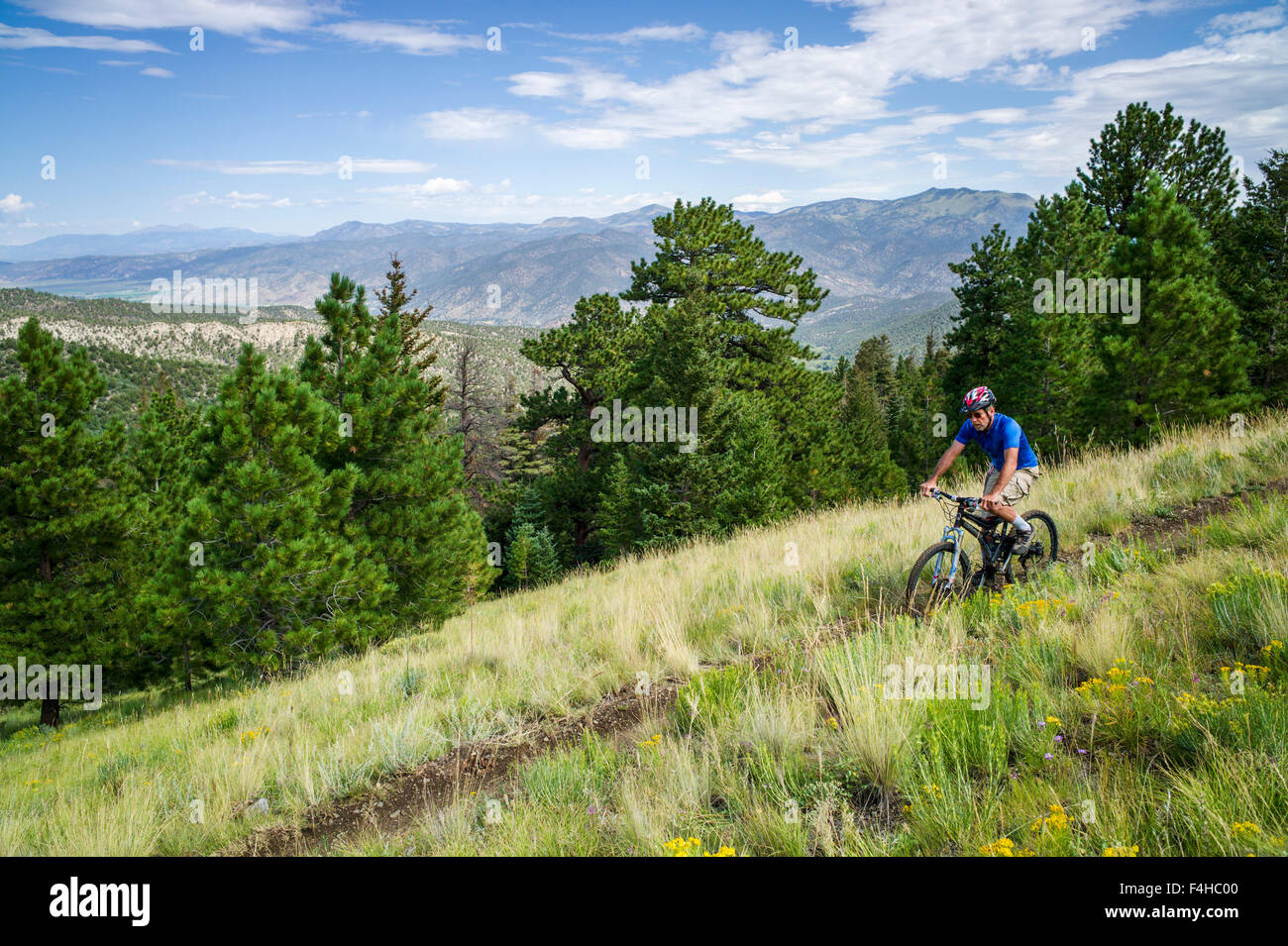 Männlichen Mountain-Bike-Fahrer auf kleine Regenbogen Trail, in der Nähe von Bear Creek, Salida, Colorado, USA Stockfoto