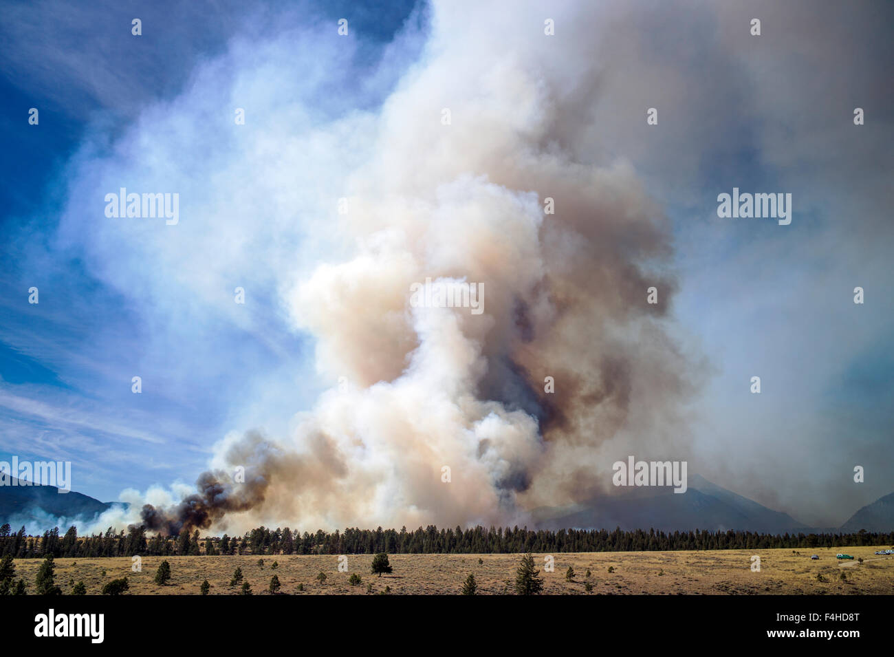 US Forest Service; kontrolliertes Feuer brennen in der Nähe von Mt. Shavano; Chaffee County; zentralen Colorado; USA Stockfoto