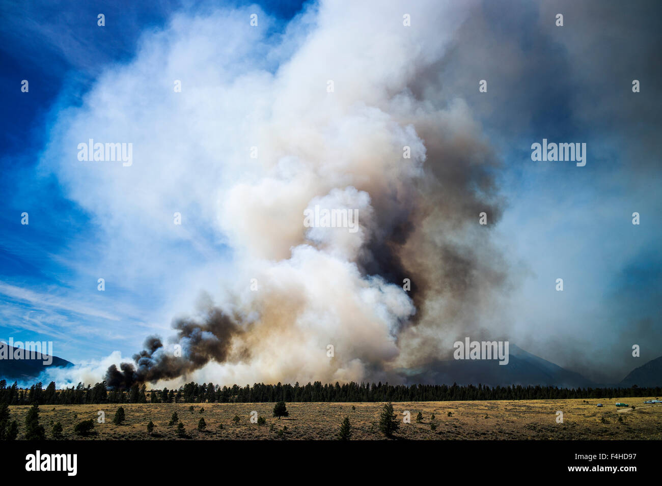 US Forest Service; kontrolliertes Feuer brennen in der Nähe von Mt. Shavano; Chaffee County; zentralen Colorado; USA Stockfoto