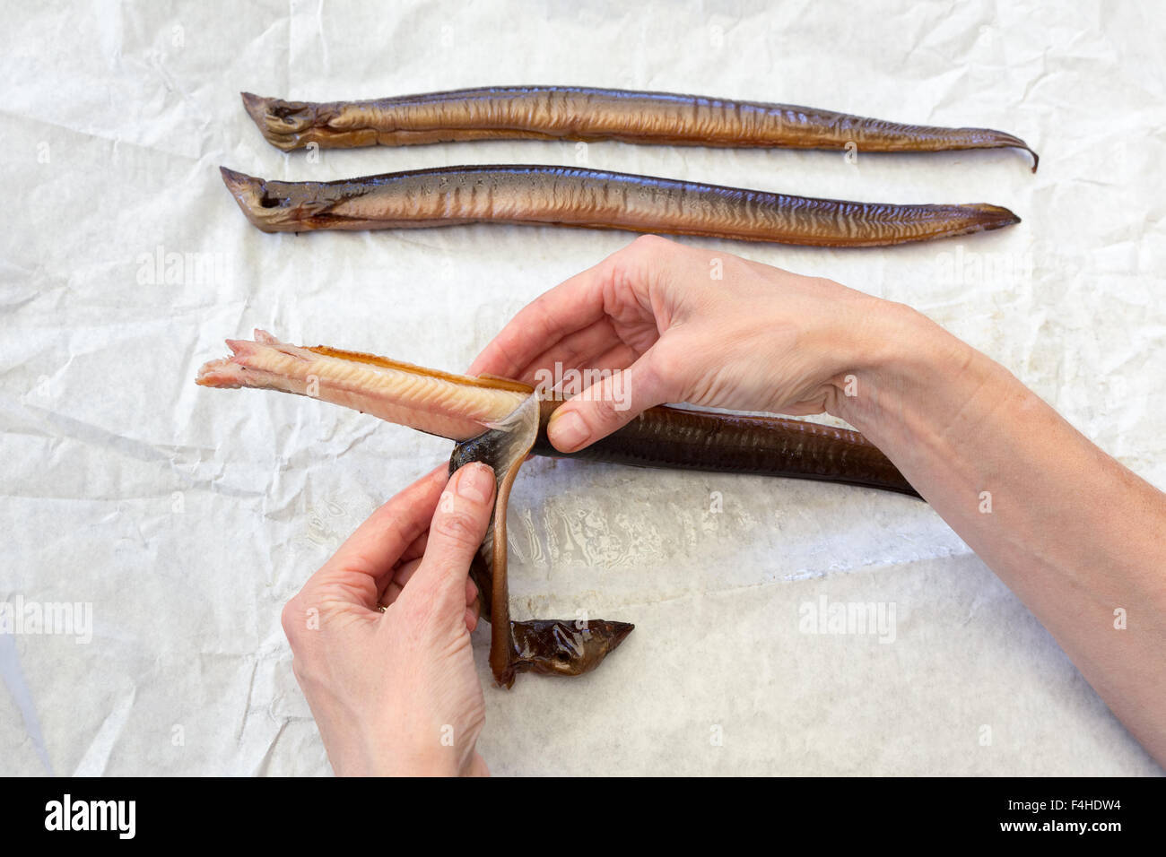 Weibliche Hände abstreifenden Haut Zubereitung von Aal Fisch Stockfoto