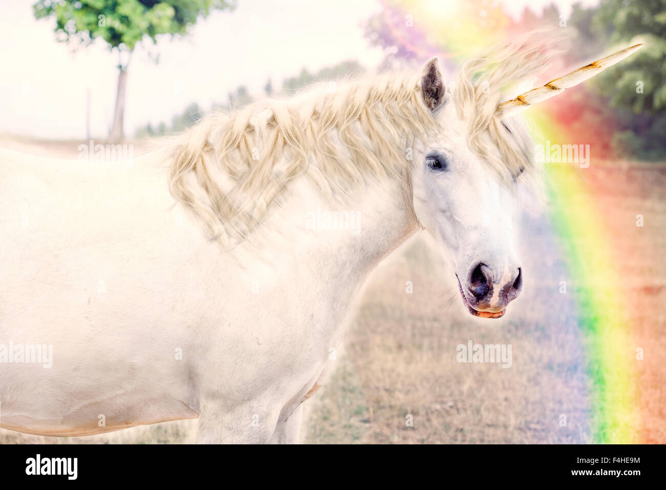 Realistische Einhorn Digitalfoto Illustration Stockfotografie Alamy