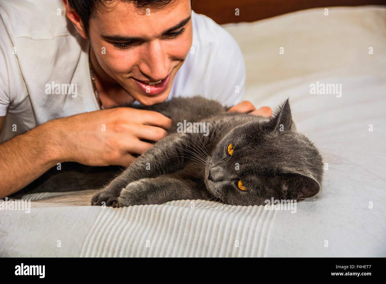 Hübscher Jüngling Tierliebhaber auf einem Bett, umarmen und kuscheln seine graue Katze-Haustier. Stockfoto