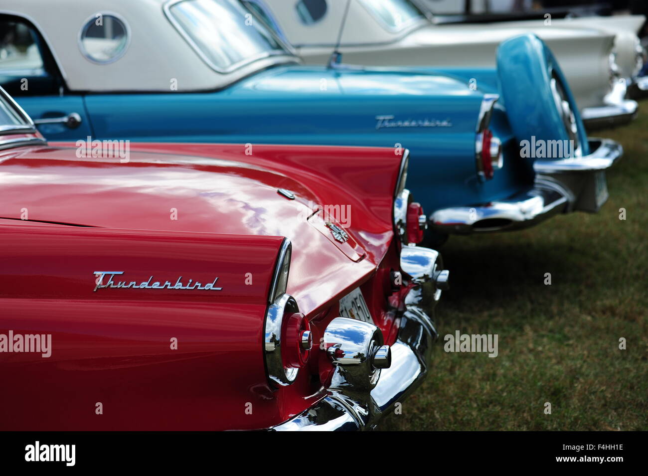 Amerikanischen 1950er Jahre Ära Ford Thunderbirds Autos Oldtimer auf einem antiken Auto-Show in Maryland Stockfoto