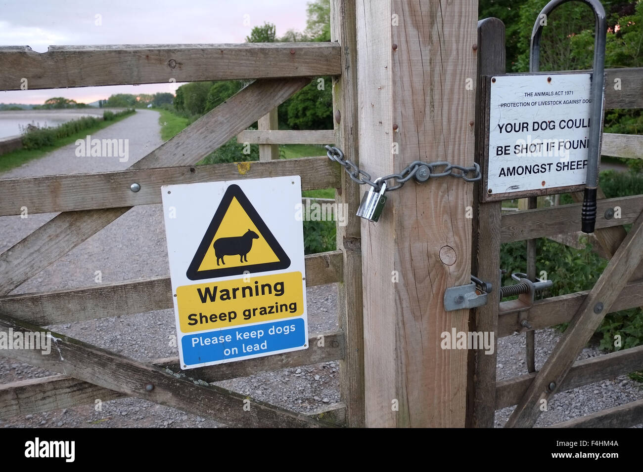 Warnung vor Schafbeweidung Zeichen auf ein Tor in ländlichen Somerset zusammen mit einem cautioning Seufzer über Hunde erschossen. Oktober 2015 Stockfoto