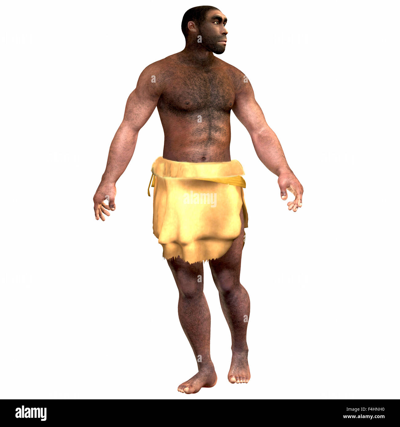 Homo Erectus ist eine ausgestorbenen Arten von Menschen, die während des Pleistozän in Eurasien und Afrika lebte. Stockfoto