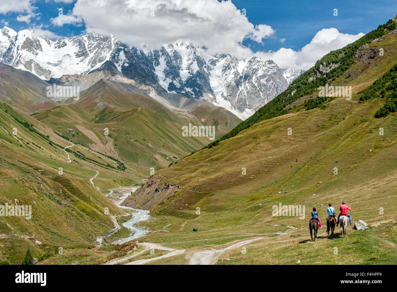 Reiten Sie in den Ausläufern des Mount Schchara (der höchste Berg in Georgia), Svaneti Region, Kaukasus, Georgien. Stockfoto