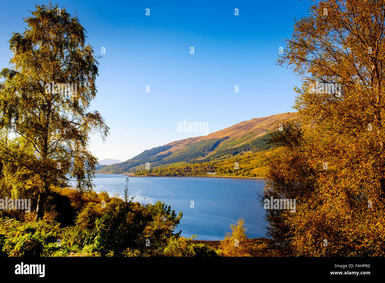 Loch Leven, Highlands von Schottland im Herbst Stockfoto