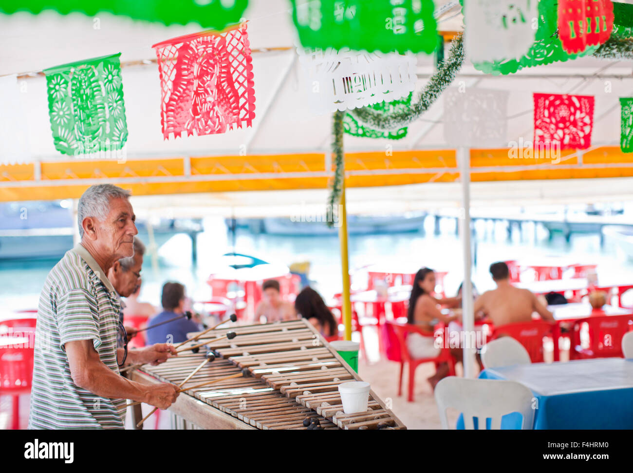 Man spielt Xylophon bei Minino, unter freiem Himmel, Zelt-Stil-Meeresfrüchte-Restaurant in der Nähe der Docks von Isla Mujeres, Mexiko Stockfoto