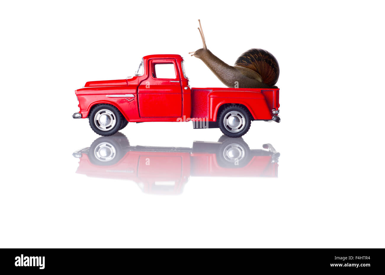 Ein Foto von einer Schnecke auf ein rotes Auto. Stockfoto