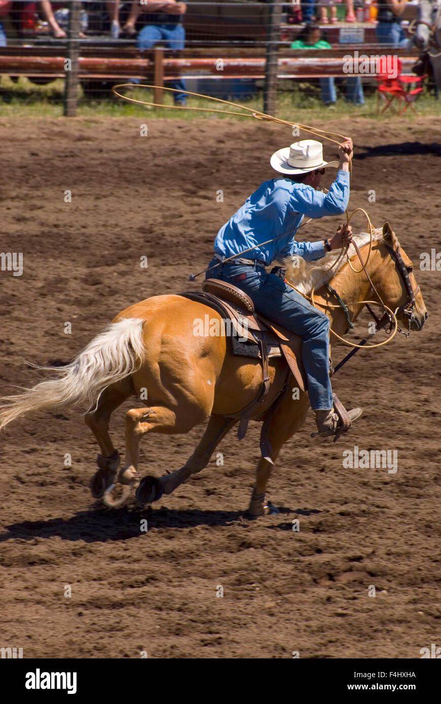 Ketsch-Umm Kalf Rodeo, Glenwood, Washington Stockfoto