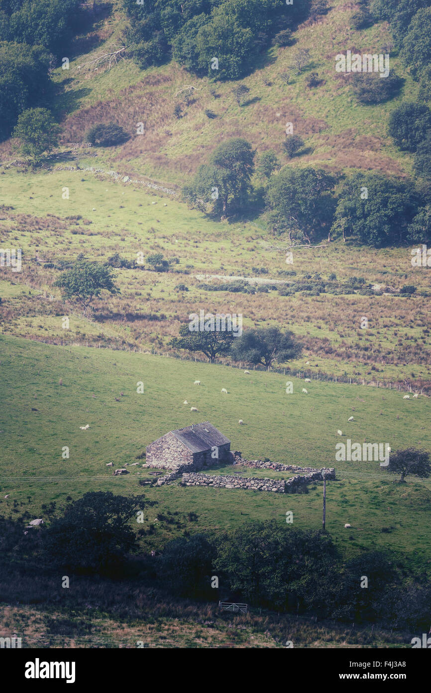 ein Bauernhaus in den Hügeln von Snowdonia Stockfoto