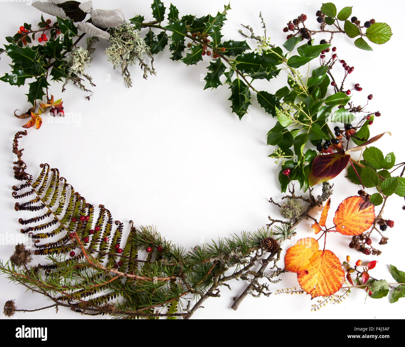 Herbst/Winter-Frame. Stockfoto