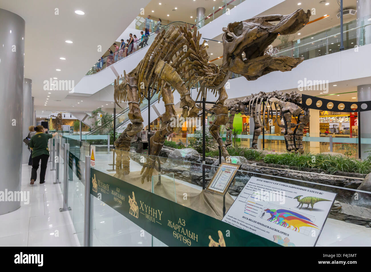 Riesige Dinosaurier-Skelett auf dem Display auf ein neues Einkaufszentrum, Ulaanbaatar (Ulan Bator), Mongolei, Zentralasien, Asien Stockfoto