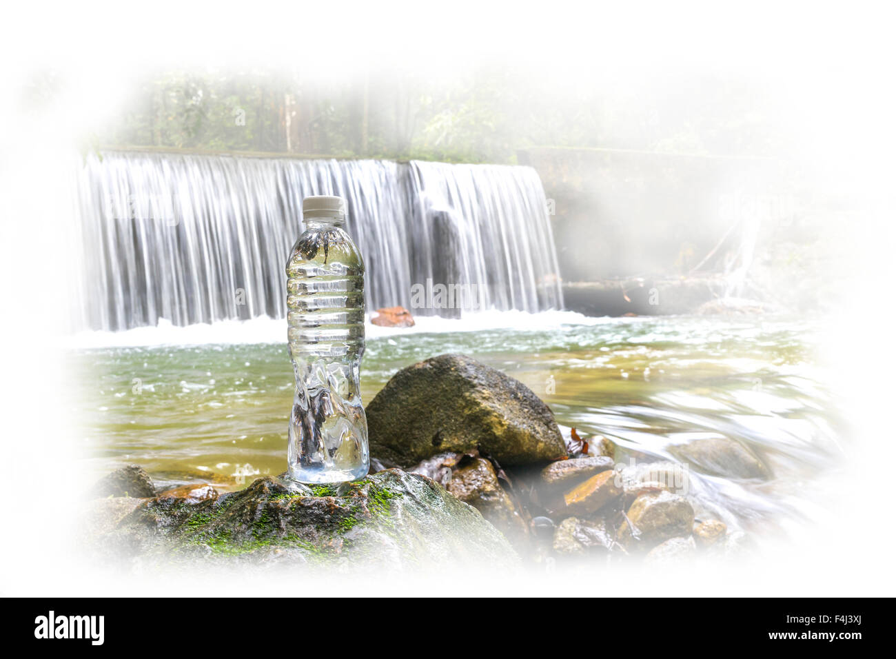 Kunststoff-Flasche mit Wasserfall im Regenwald Stockfoto