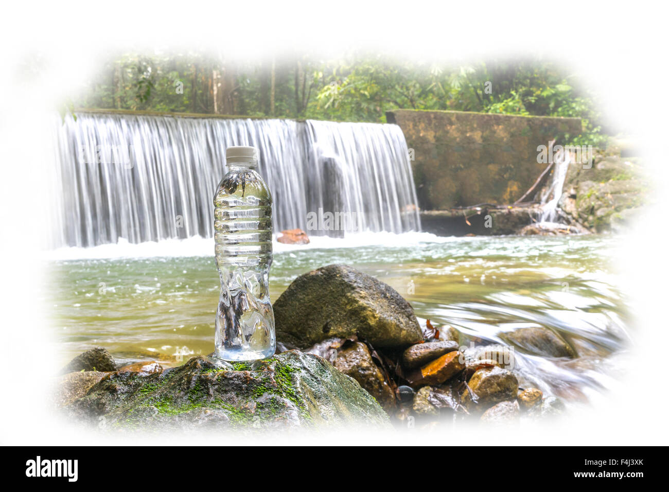 Kunststoff-Flasche mit Wasserfall im Regenwald Stockfoto