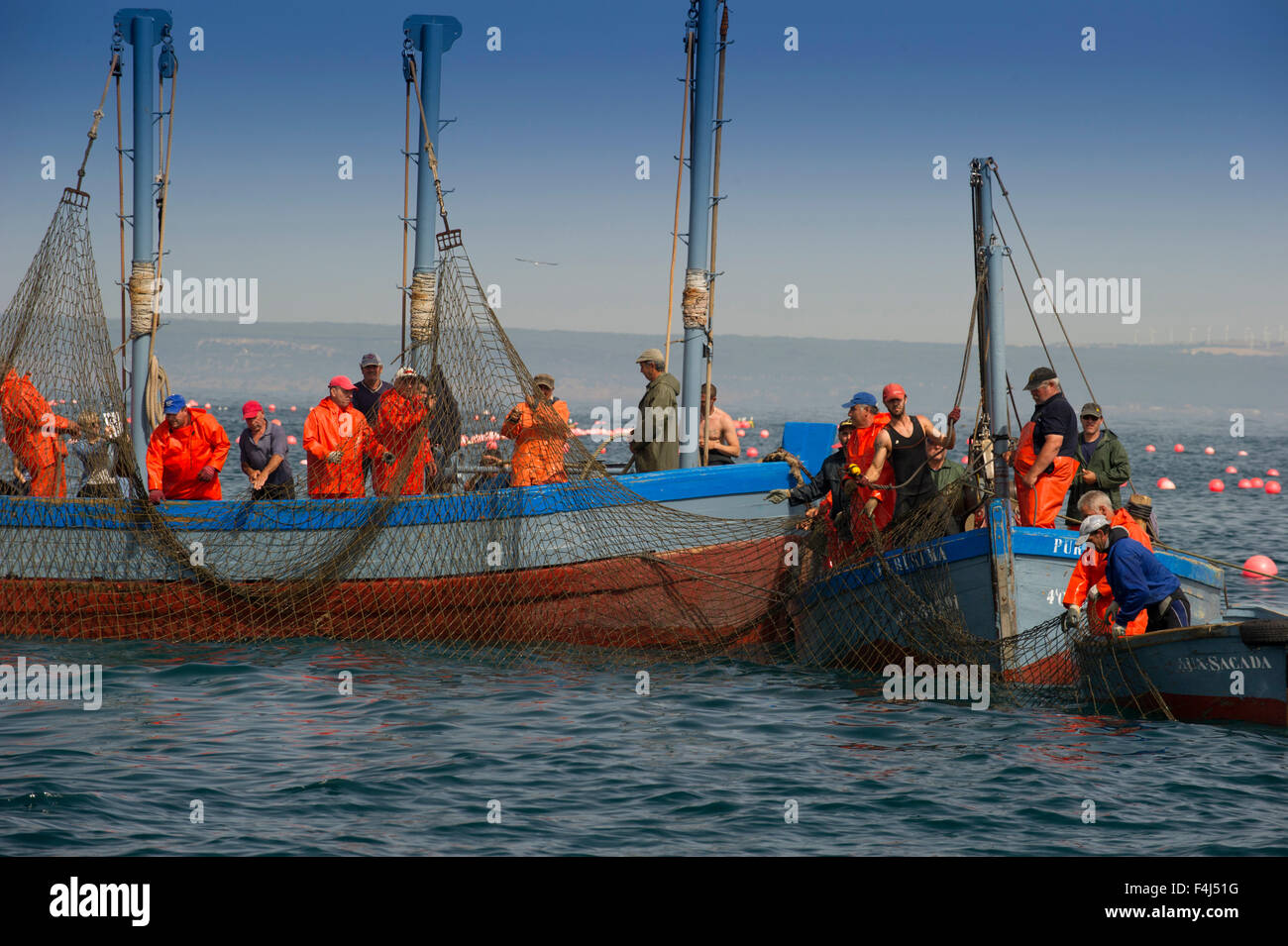 Almadraba atlantische Fischerei auf Roten Thun besteht aus einem Labyrinth von Netzen, die endgültige Net ist Winde an der Oberfläche, Andalusien, Spanien Stockfoto