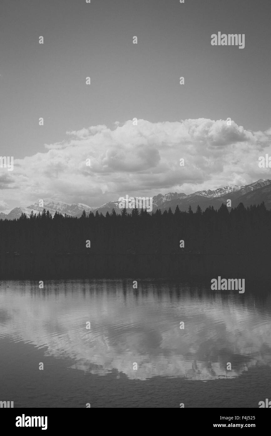 Schwarz / weiß-Landschaft von Jasper, Kanada Stockfoto