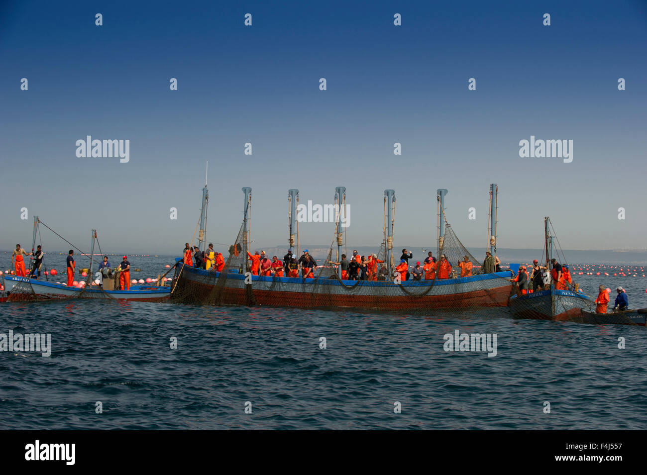 Almadraba atlantische Fischerei auf Roten Thun besteht aus einem Labyrinth von Netzen, die endgültige Net ist Winde an der Oberfläche, Andalusien, Spanien Stockfoto