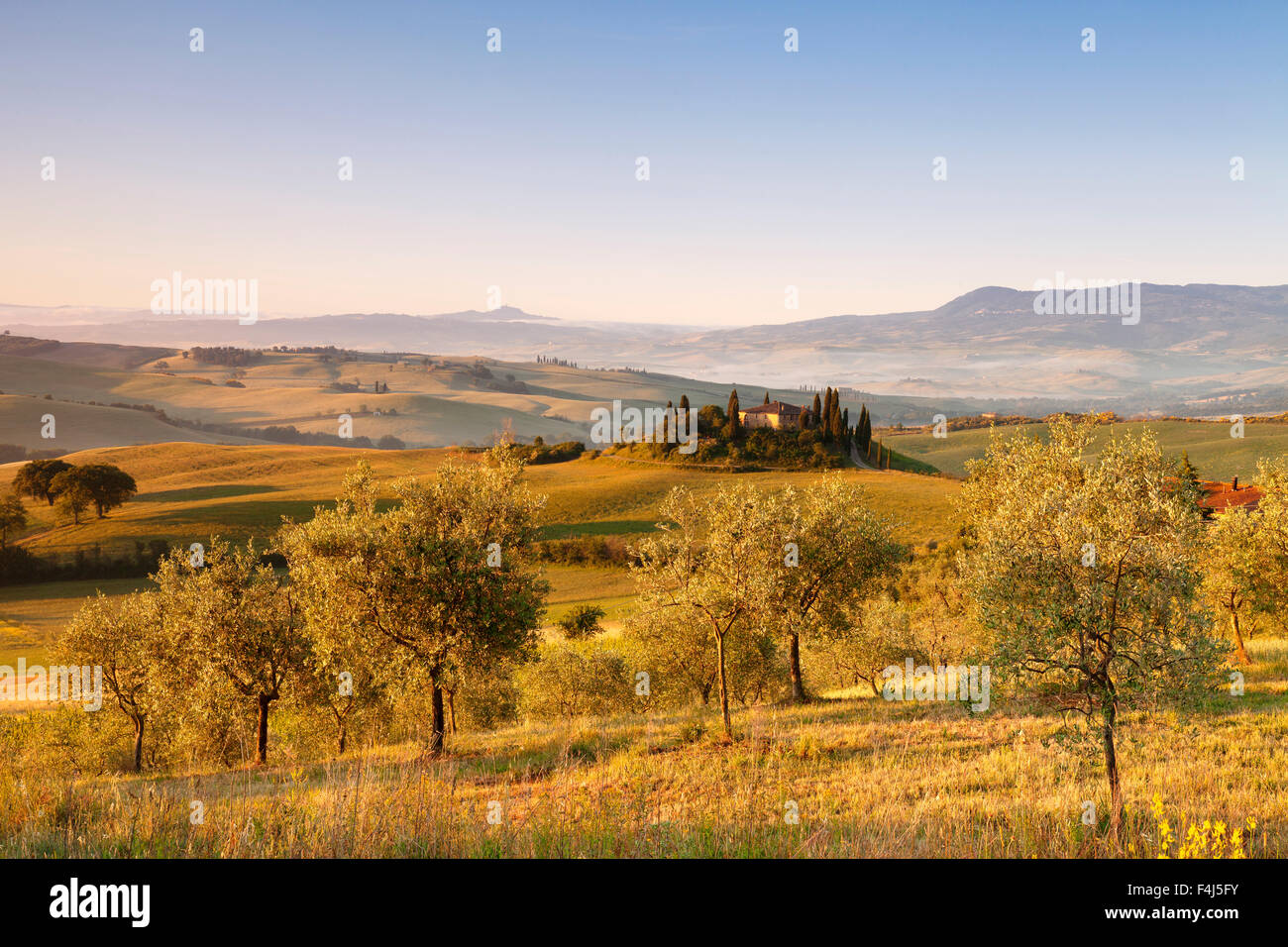 Bauernhof Belvedere bei Sonnenaufgang, in der Nähe von San Quirico, Val d ' Orcia (Orcia-Tal), UNESCO, Provinz Siena, Toskana, Italien Stockfoto