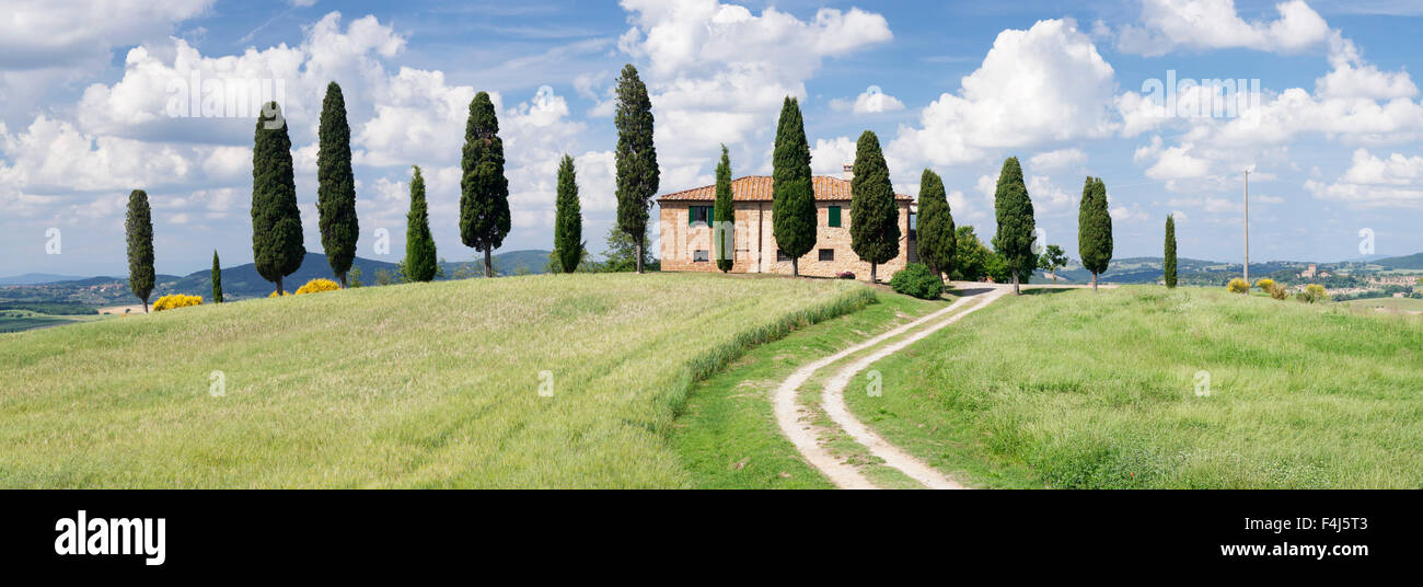 Bauernhaus mit Zypressen in der Nähe von Pienza, Val d ' Orcia (Orcia-Tal), UNESCO, Provinz Siena, Toskana, Italien Stockfoto