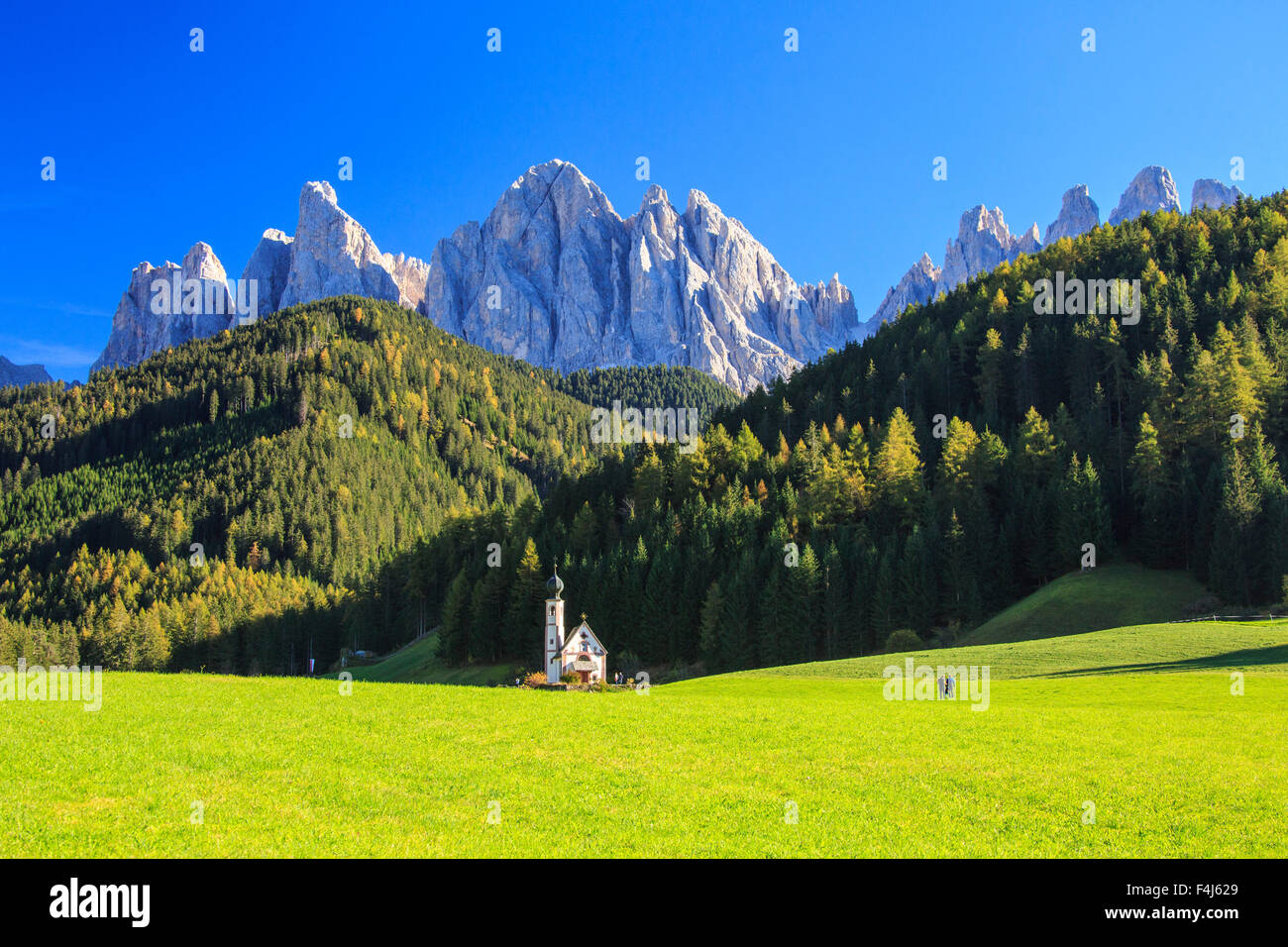 Kirche von Ranui inmitten grüner Wiesen im Herbst, St. Magdalena, Villnösser Tal, Südtirol, Dolomiten, Italien, Europa Stockfoto