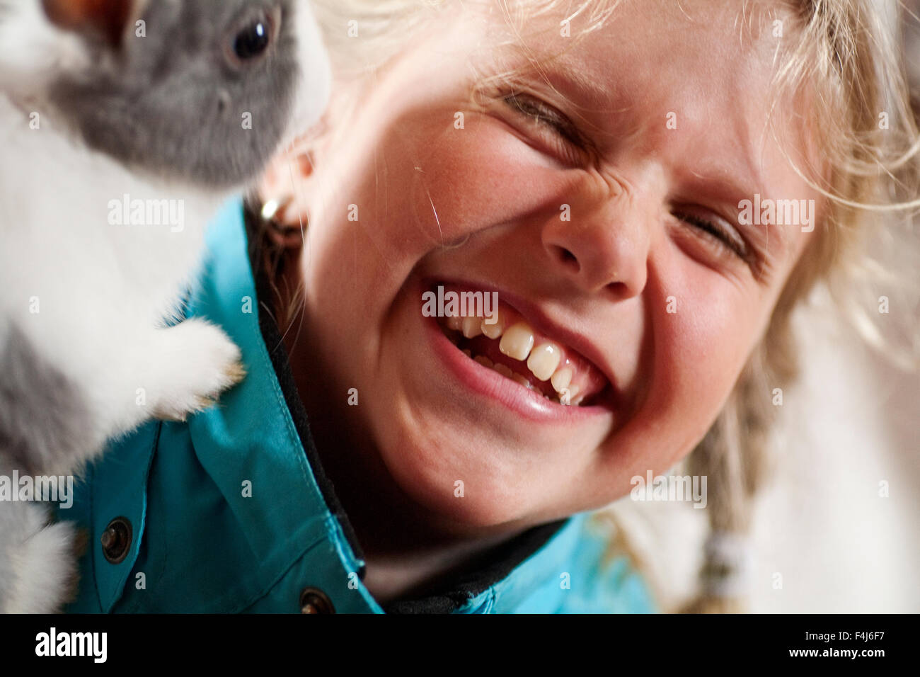 10-12 Jahre blonde Farbe Bild Tag Haustiere Augen schließen Freundschaft Mädchen Glück glücklich Horizontal drinnen Lachen Liebe Stockfoto