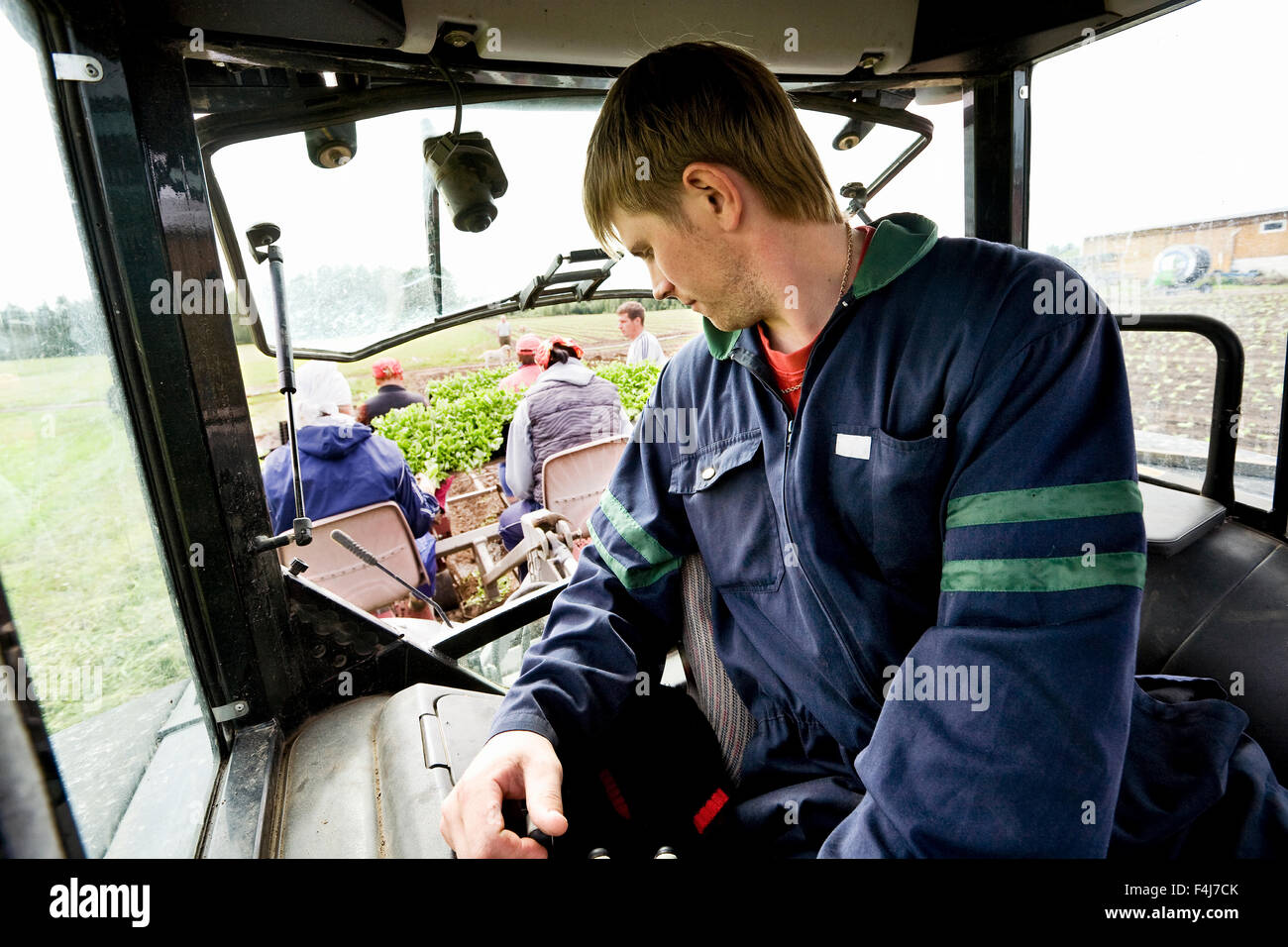 Mann, einen Traktor, Finnland zu fahren. Stockfoto