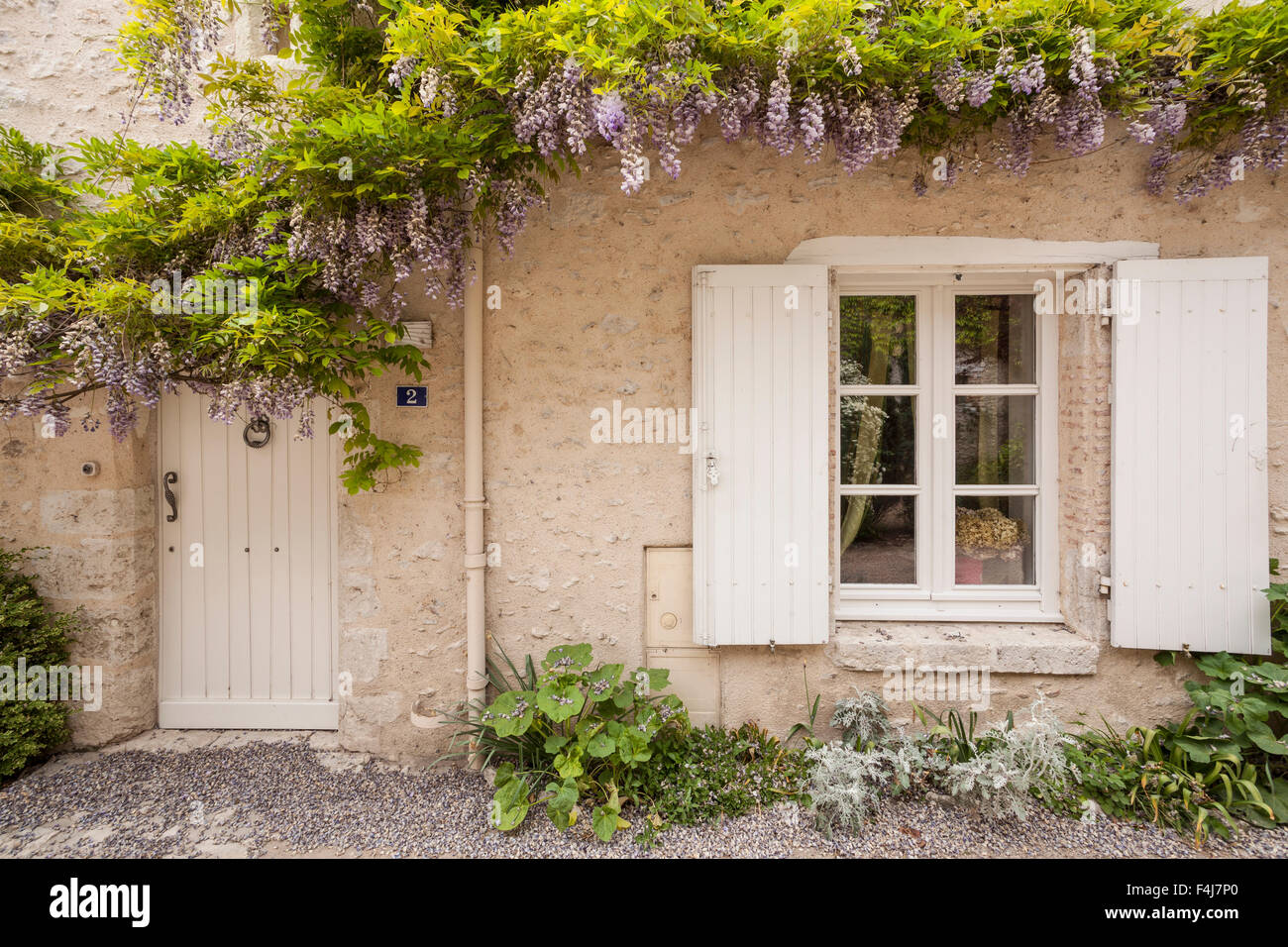 Glyzinien in voller Blüte umgibt eine Tür in Saint-Farbstoff-Sur-Loire, Loir-et-Cher, Frankreich, Europa Stockfoto