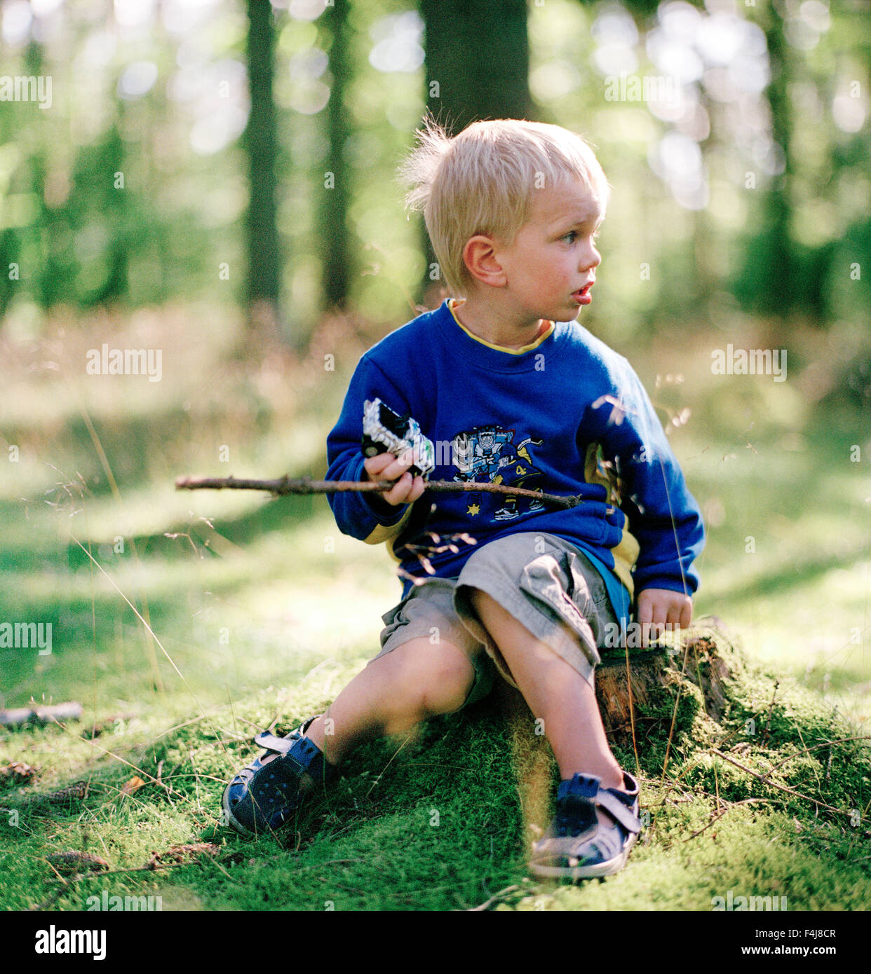 Junge in einem Wald, Schweden. Stockfoto