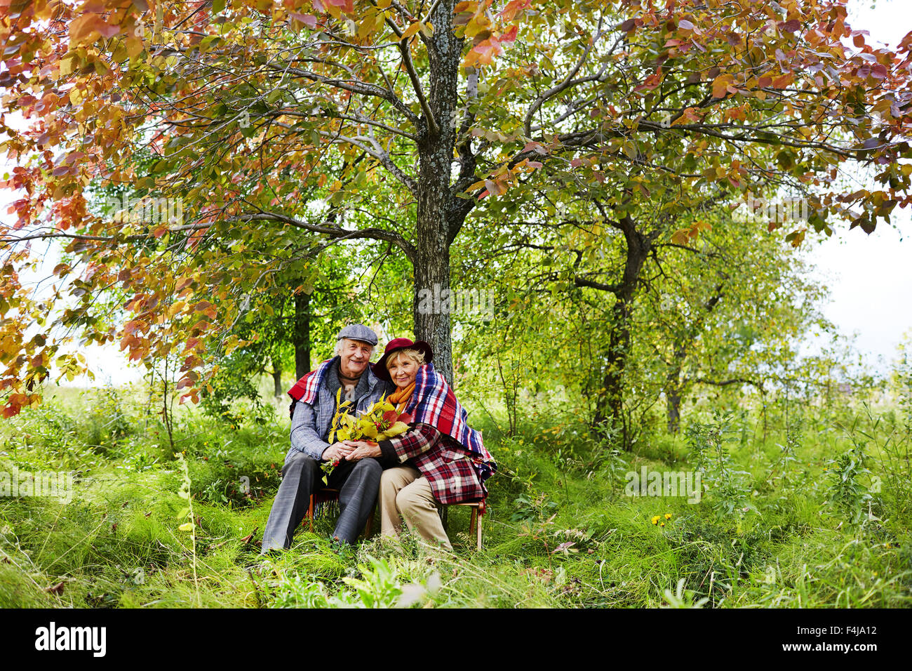 Älteres Ehepaar Sitzt Unter Baum Im Park Im Herbst Stockfotografie Alamy