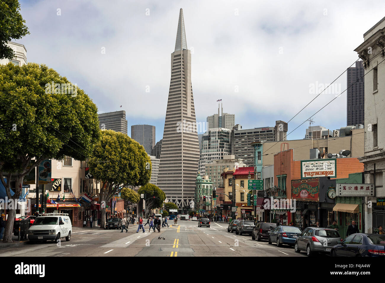 Transamerica Pyramid gesehen von Columbus Avenue, San Francisco, Kalifornien, USA Stockfoto