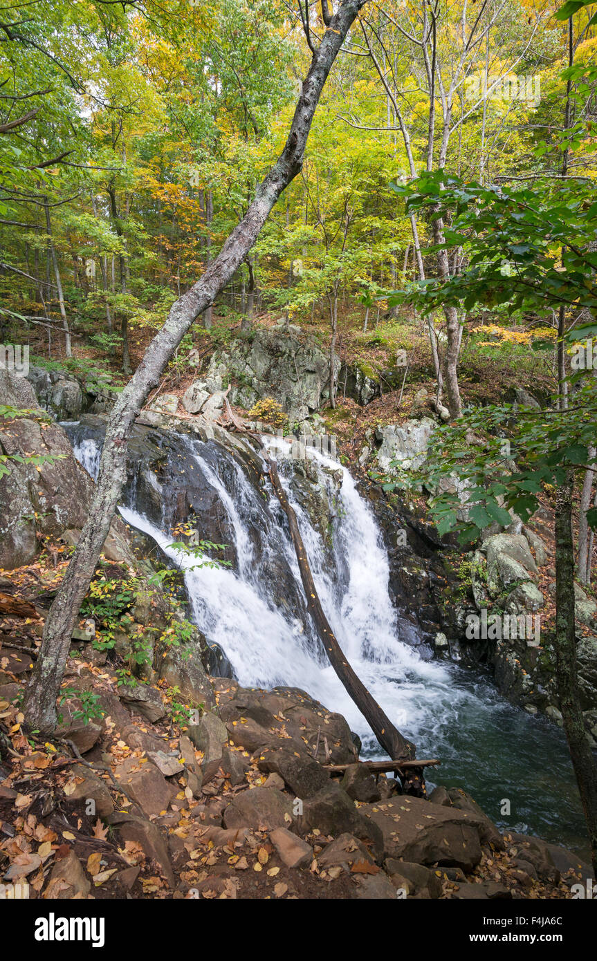 Wasserfall auf Rose River, Shenandoah-Nationalpark, Virginia, USA Stockfoto