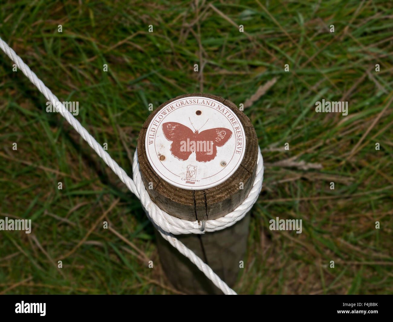 Informativer Beitrag von Wildblumen und Grünland Nature Reserve in Colchester. Essex. England. VEREINIGTES KÖNIGREICH. Stockfoto