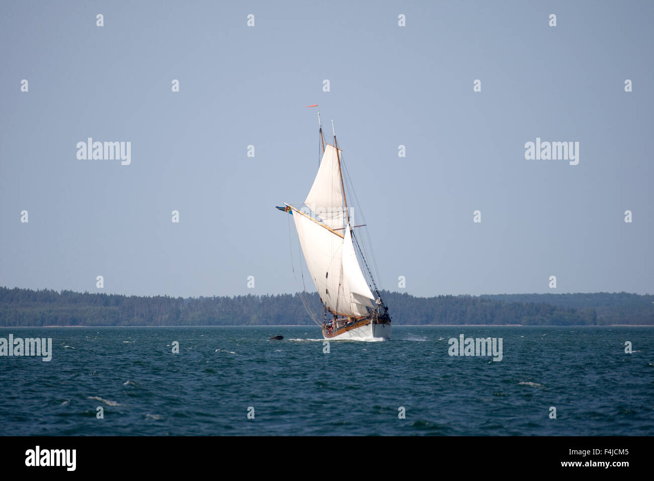 Skandinavien, Finnland, Åland, Blick auf alten Segelboot auf dem Wasser Stockfoto