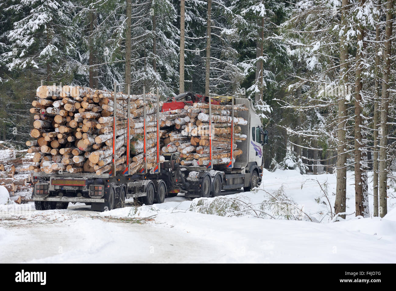 Auto Farbe Bild Wald Industrie horizontale Forstwirtschaft Bauholz Skandinavien Schweden Transport LKW Uppland Winter arbeiten Stockfoto