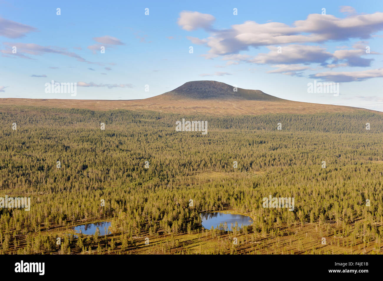 Farbbild horizontale Dalarna Wald Landschaft Natur Scandinavia skandinavischen Gebirge Bergsommer Schweden Stockfoto