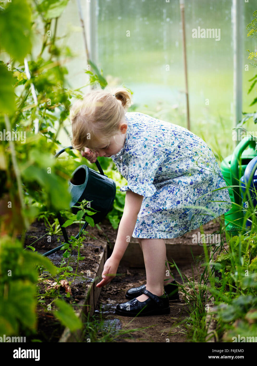 Ein Mädchen, Bewässerung von Pflanzen. Stockfoto
