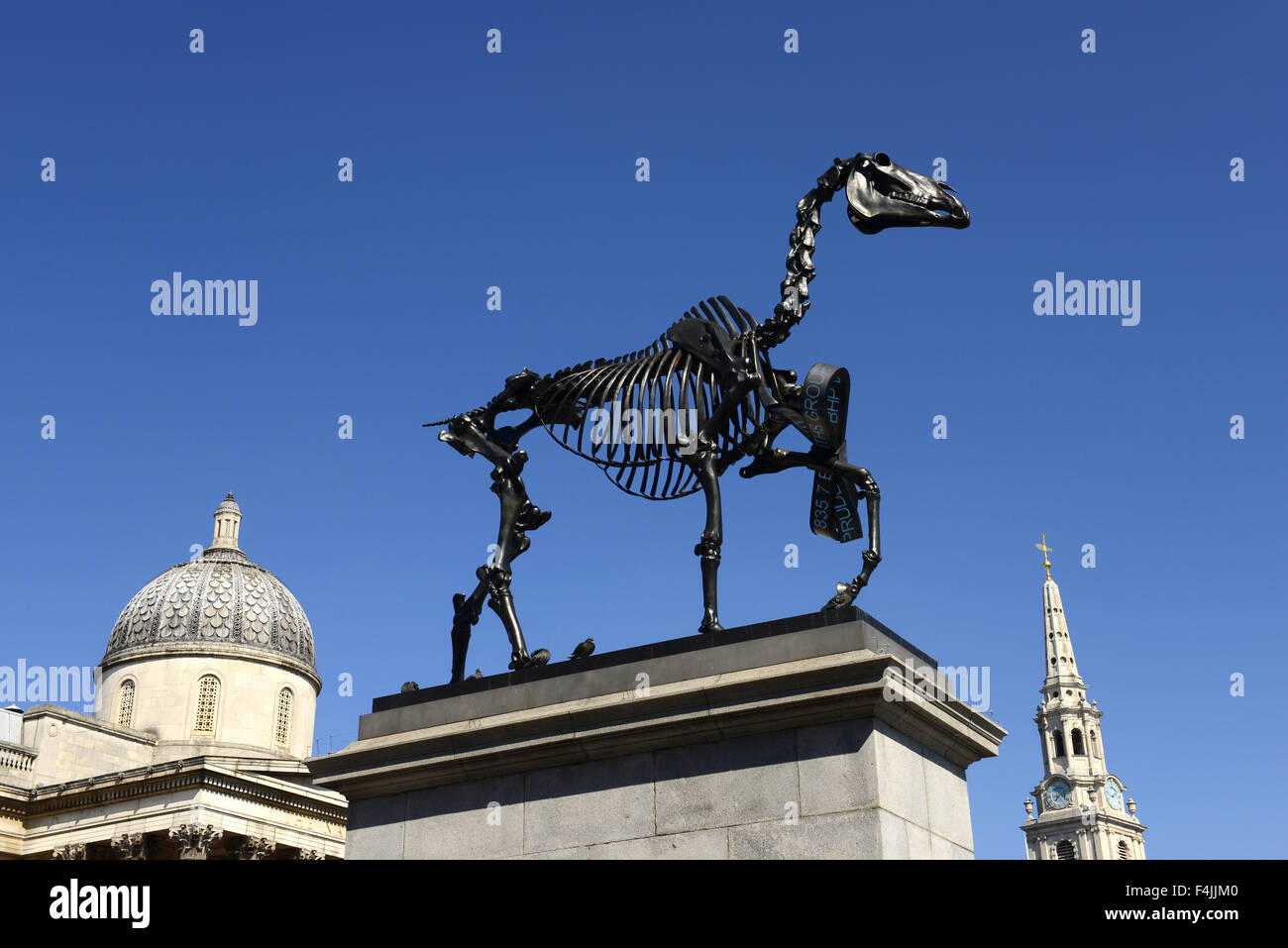 Fourth Plinth Skulptur, geschenkten Gaul von Hans Haacke in Trafalgar Square, London, England, UK Stockfoto