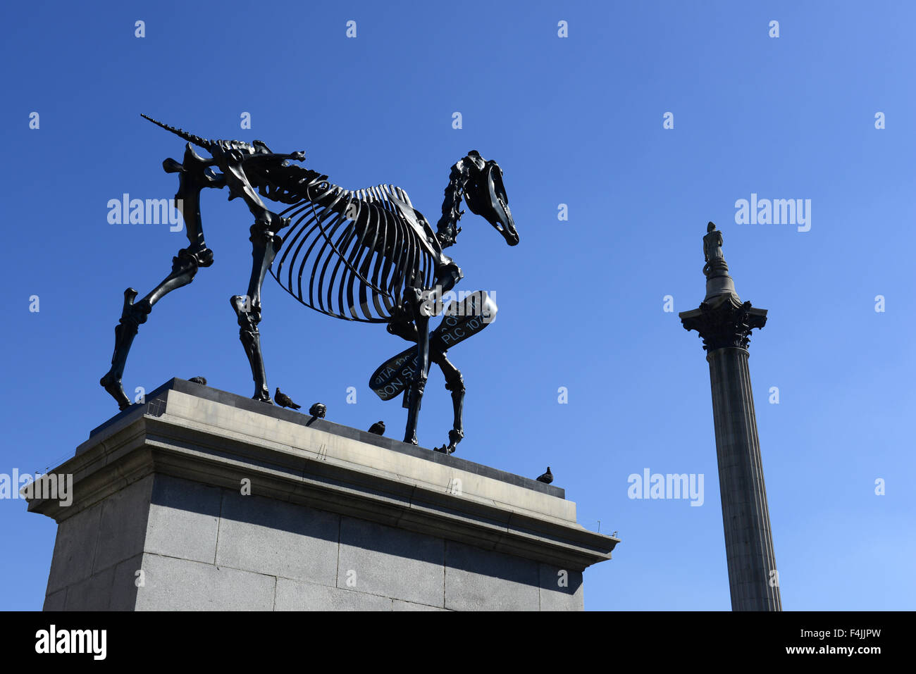 Fourth Plinth Skulptur, geschenkten Gaul von Hans Haacke in Trafalgar Square, London, England, UK Stockfoto