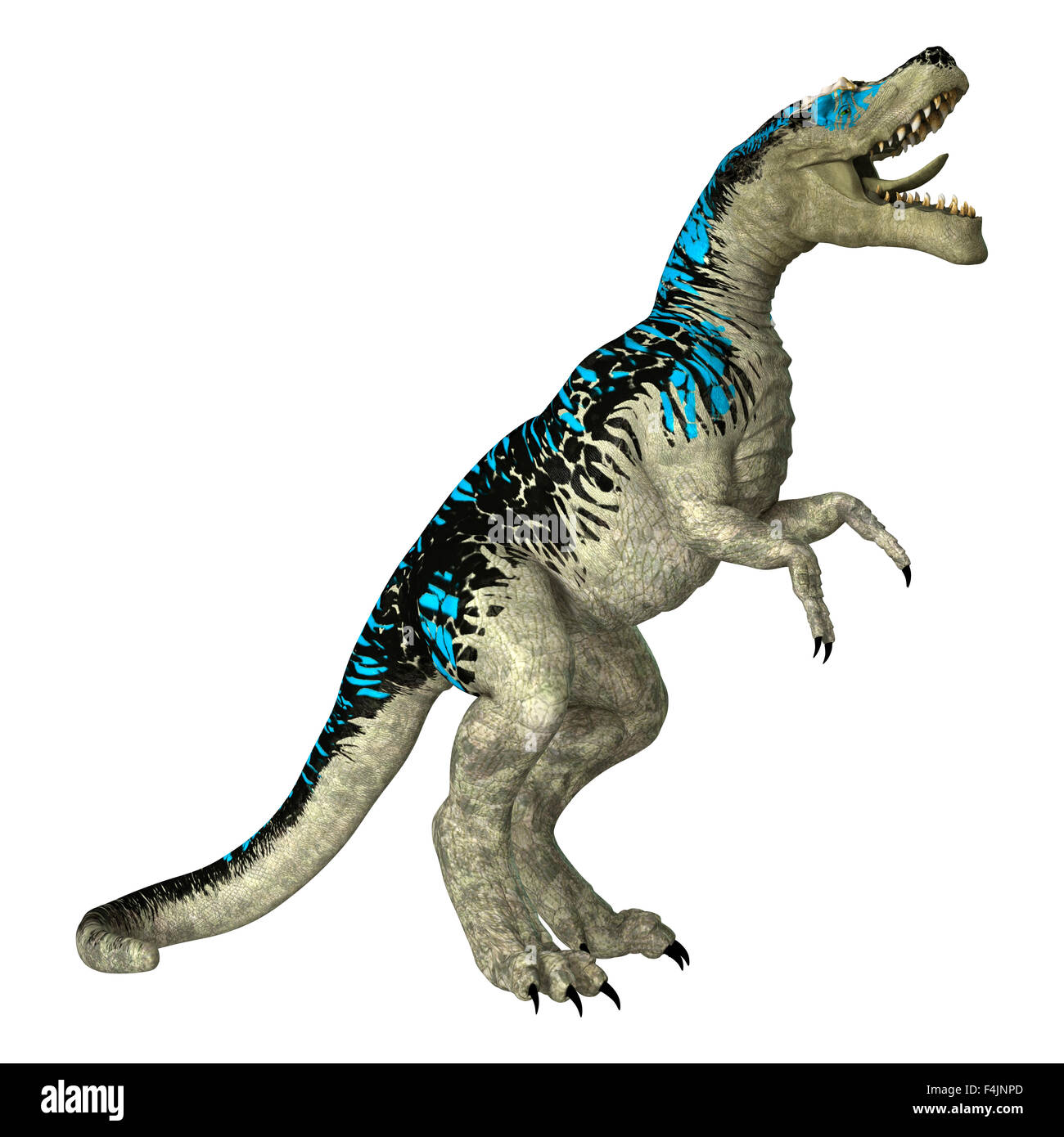 Digitale 3D Rendern eines Dinosauriers Tyrannosaurus isoliert auf weißem Hintergrund Stockfoto