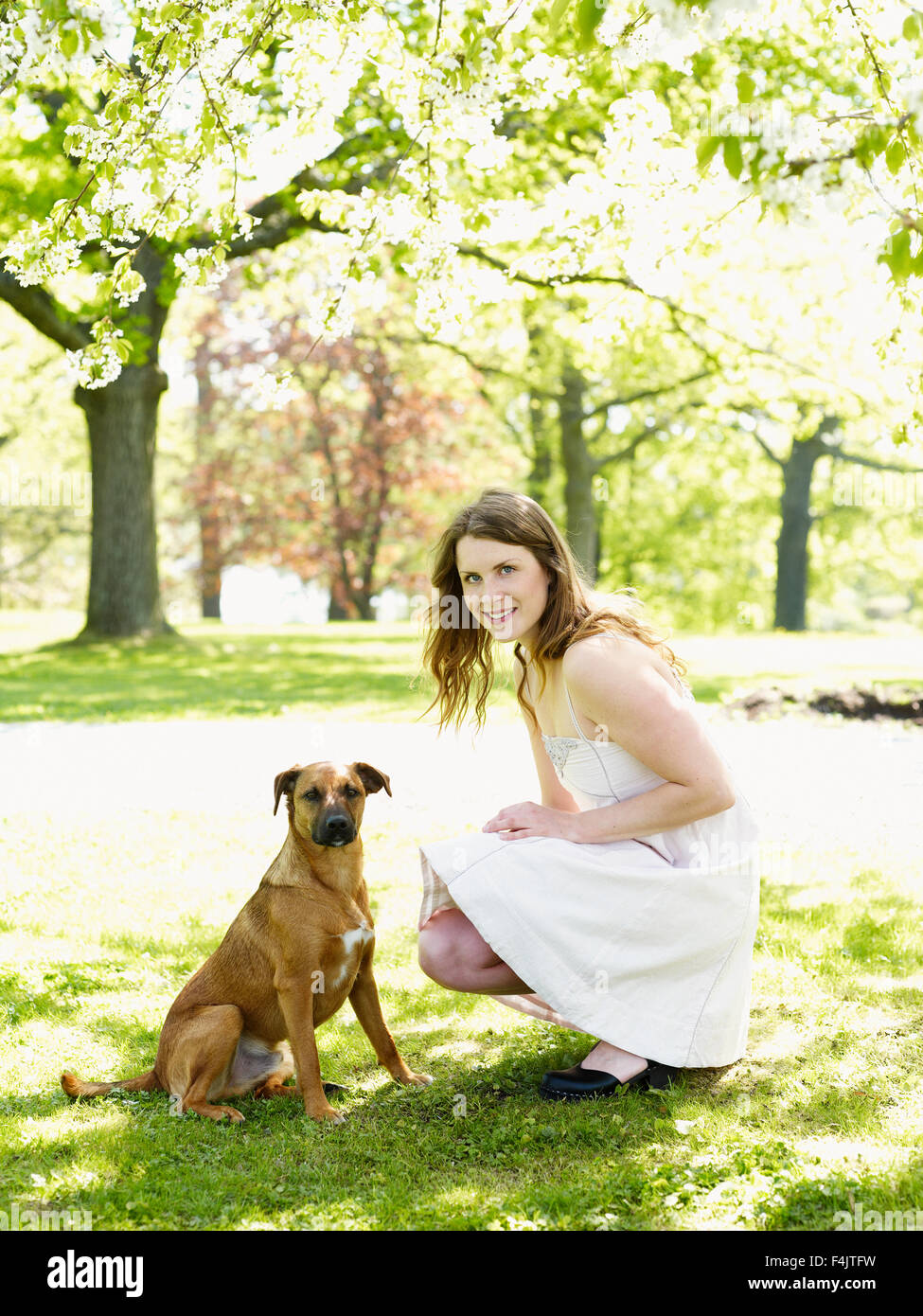 Porträt der jungen Frau mit Hund Stockfoto