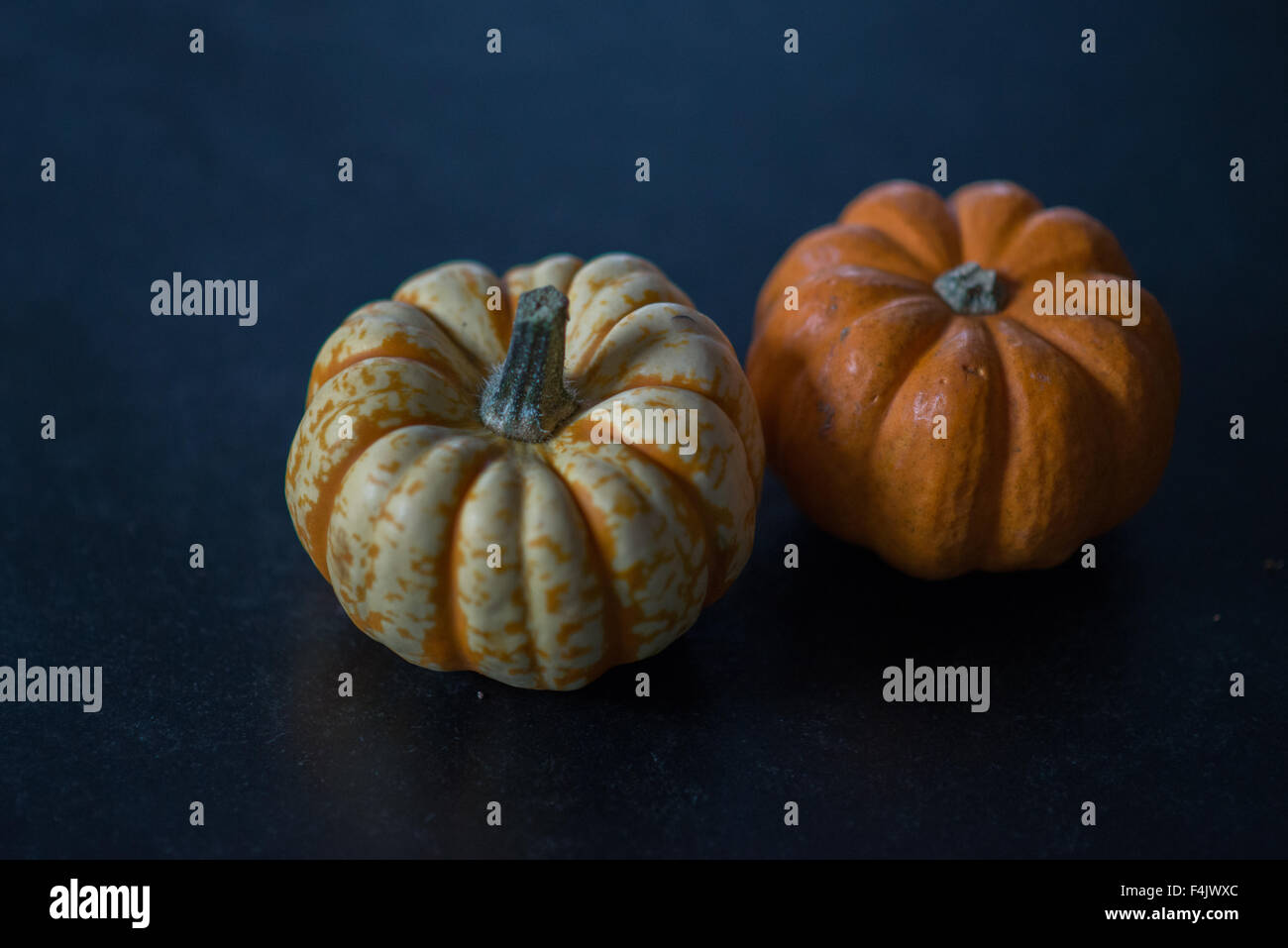 Harlequin Squash, Kürbisse - Halloween Stockfoto