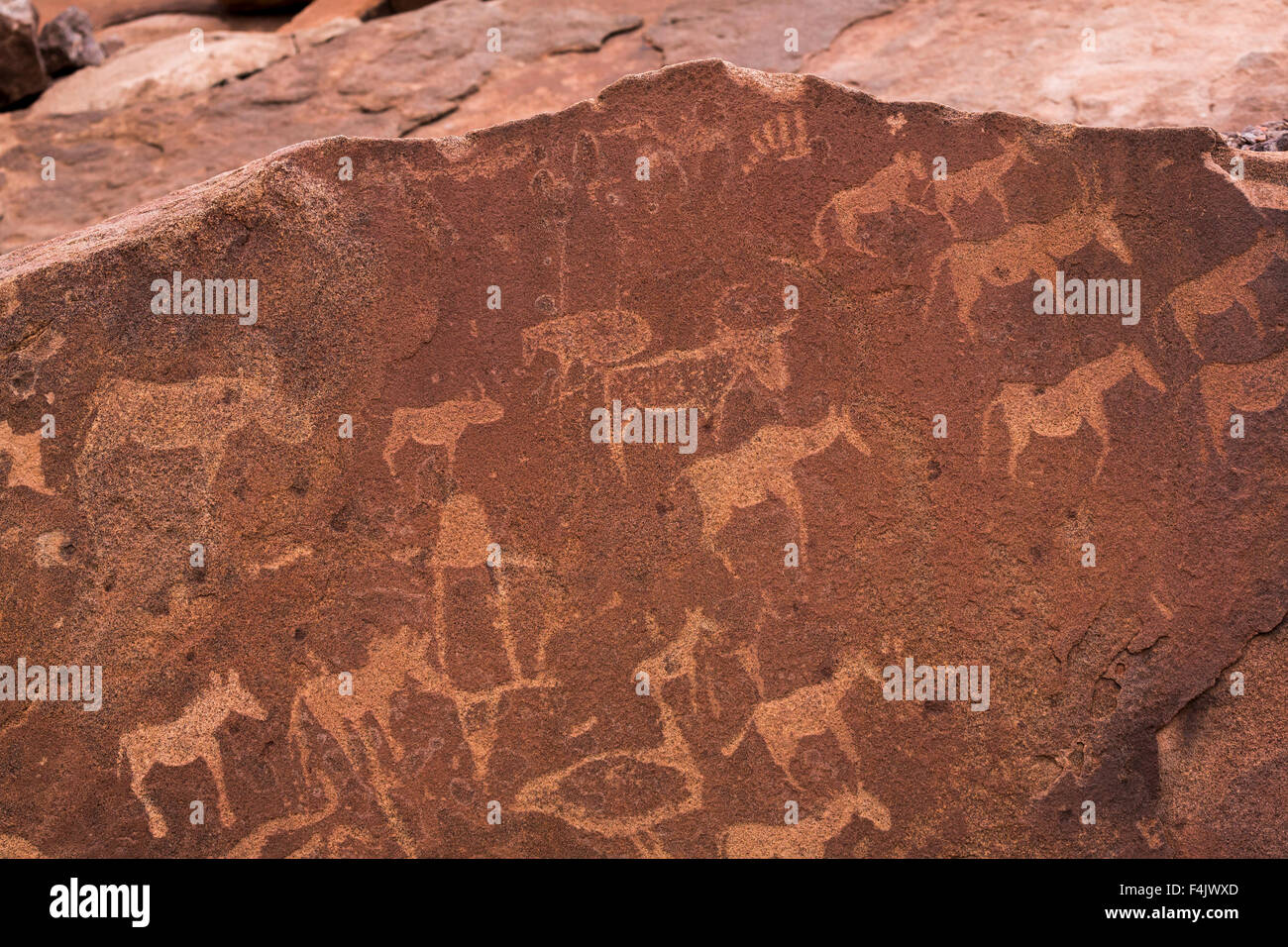 Petroglyphen oder Rock Gravuren, Twyfelfontein, UNESCO World Heritage Site, Namibia, Afrika Stockfoto