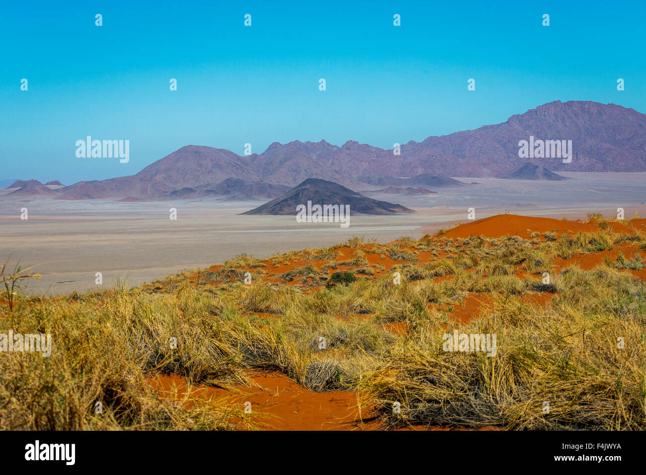 Wüstenlandschaft in der wolwedans Dunes Lodge, Namibia, Afrika Stockfoto