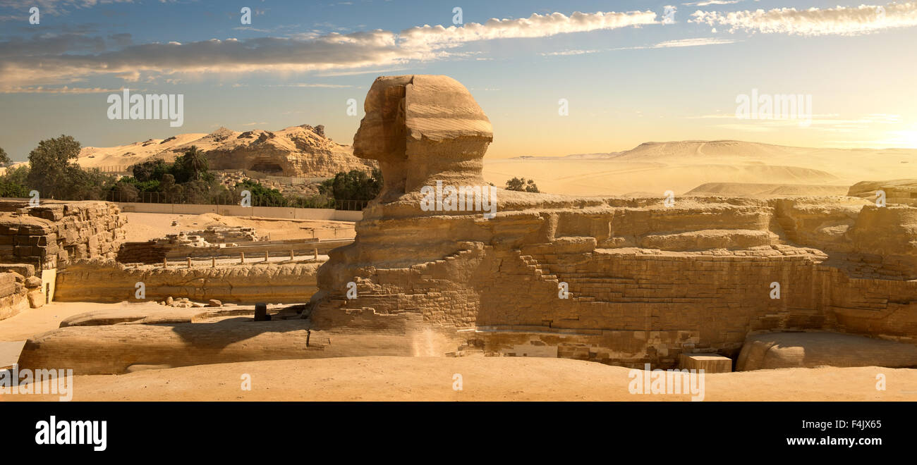 Sphinx in Sandwüste bei Sonnenuntergang Stockfoto