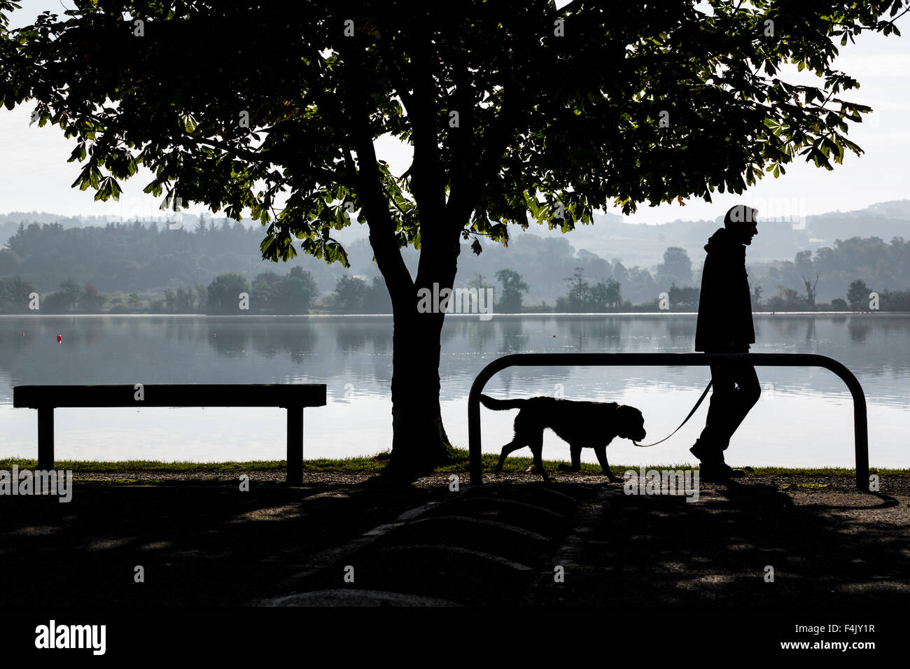 Silhouette eines Mannes, der einen Hund auf dem Land neben einem See und einem Baum läuft, Großbritannien Stockfoto