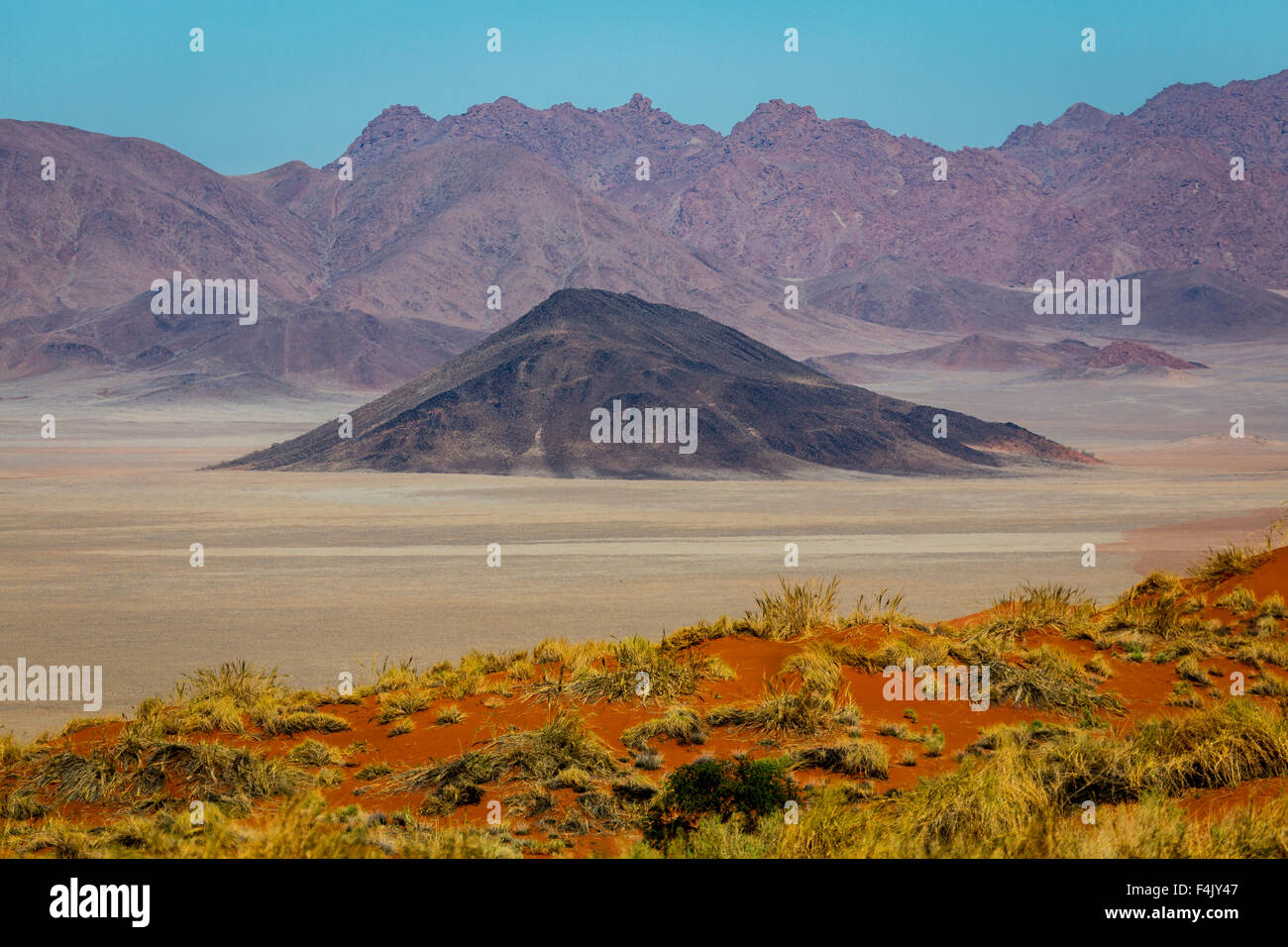 Wüstenlandschaft von Wolwedans Dunes Lodge, Namibia, Afrika Stockfoto